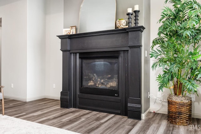 room details featuring a glass covered fireplace, baseboards, and wood finished floors