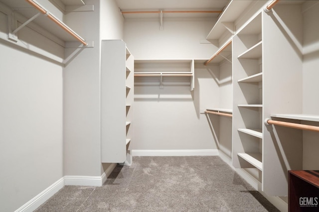 walk in closet featuring carpet floors