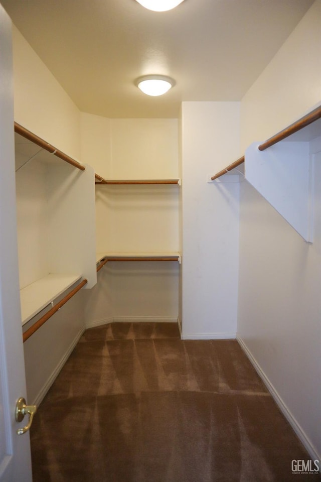 spacious closet with carpet floors