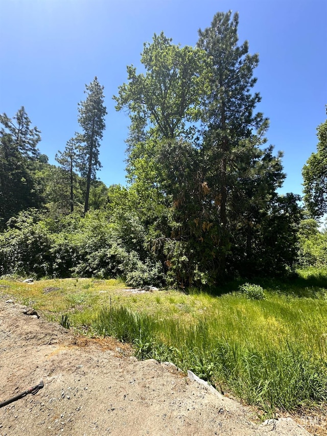 45796 Rocking K Dr, Cal Hot Springs, CA 93207 - view of woods