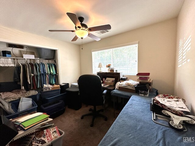 45796 Rocking K Dr, Cal Hot Springs, CA 93207 - office with ceiling fan and carpet