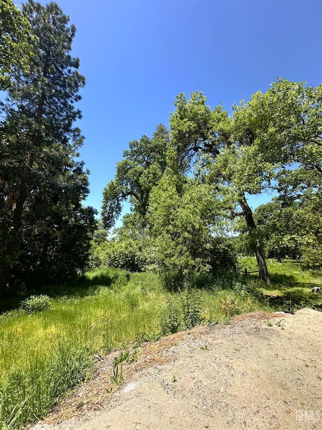 45796 Rocking K Dr, Cal Hot Springs, CA 93207 - view of undeveloped land