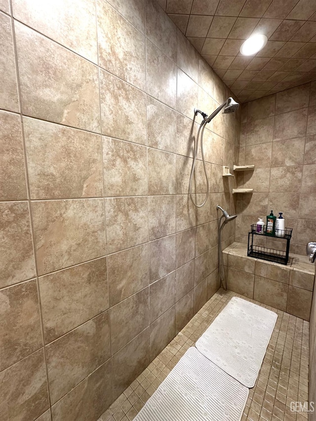 45796 Rocking K Dr, Cal Hot Springs, CA 93207 - full bathroom featuring tiled shower