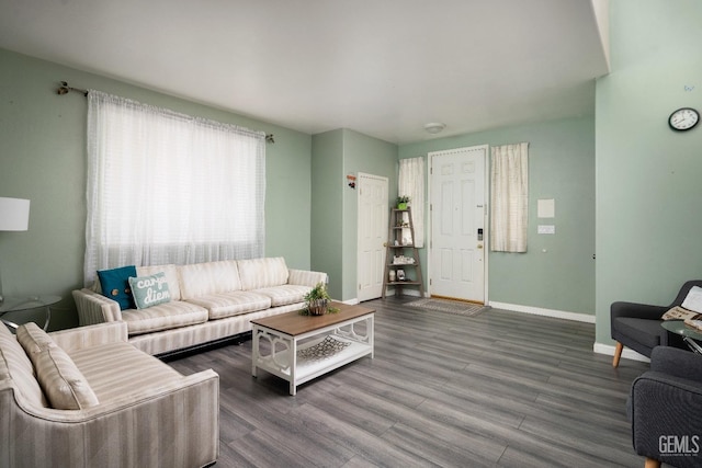 living room featuring hardwood / wood-style flooring