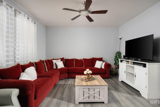 living room featuring hardwood / wood-style flooring and ceiling fan