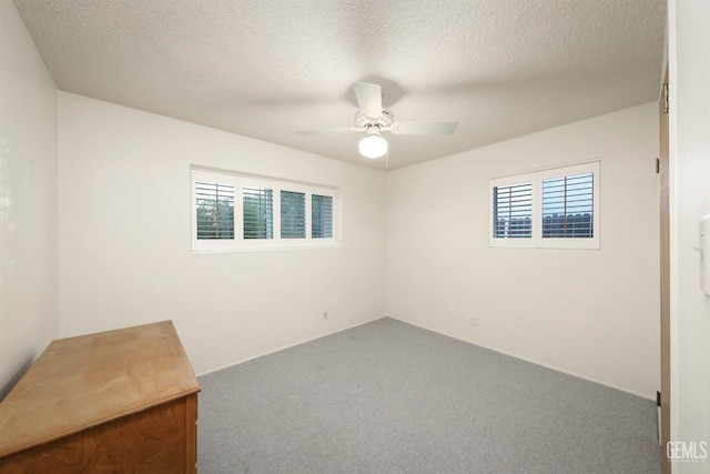 empty room featuring carpet flooring, ceiling fan, and a textured ceiling