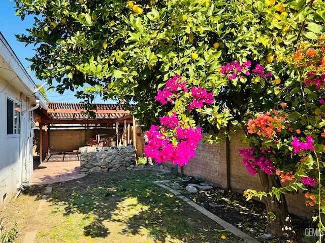 view of yard with a pergola and a patio