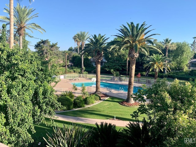 view of pool with a yard