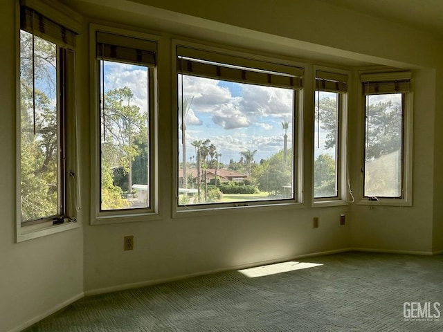 carpeted empty room with plenty of natural light