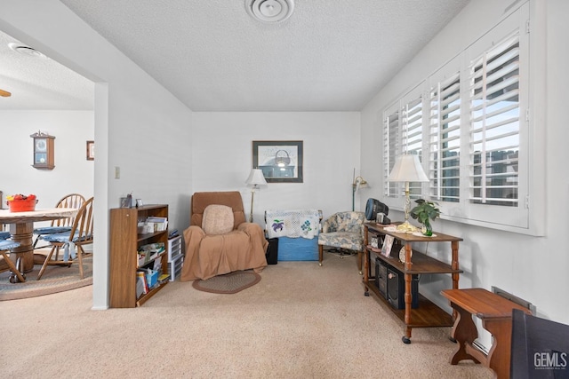 sitting room with carpet flooring and a textured ceiling