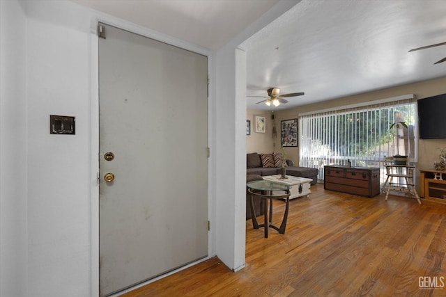 foyer featuring ceiling fan and wood-type flooring