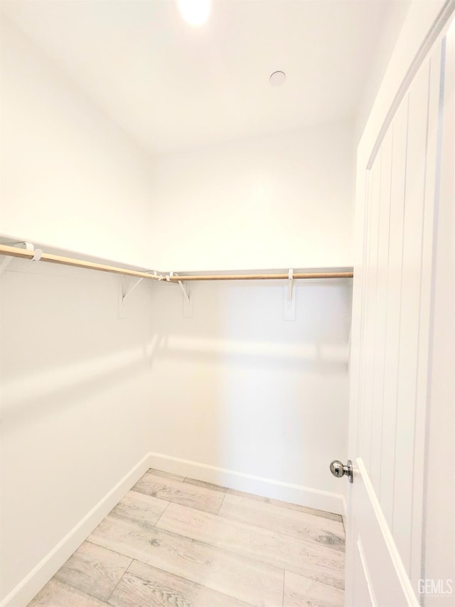 spacious closet featuring light hardwood / wood-style floors