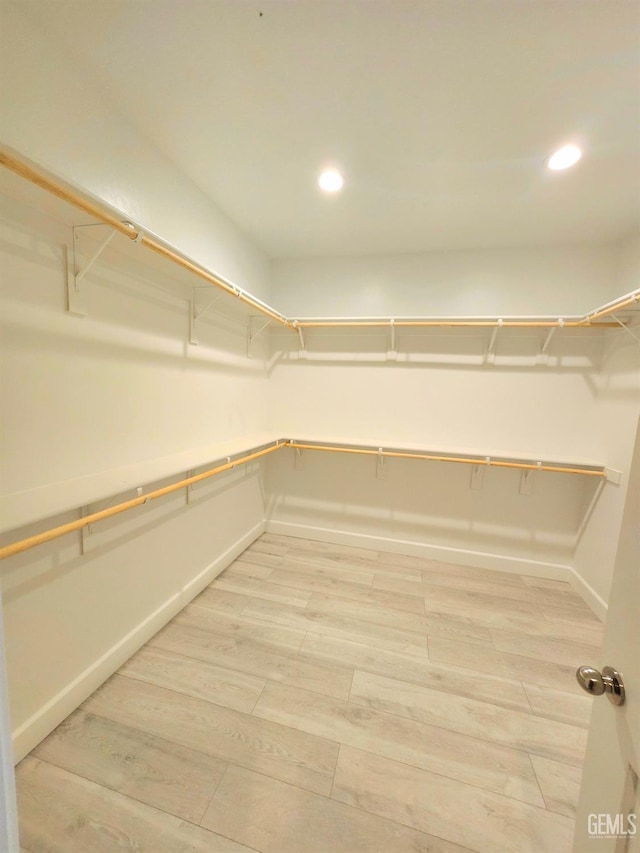 spacious closet with wood-type flooring