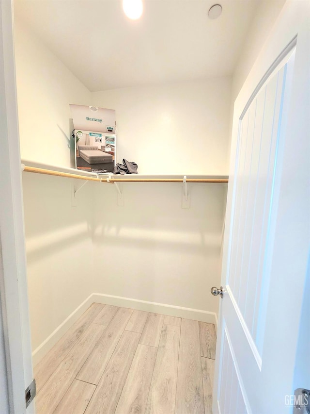 spacious closet featuring wood-type flooring