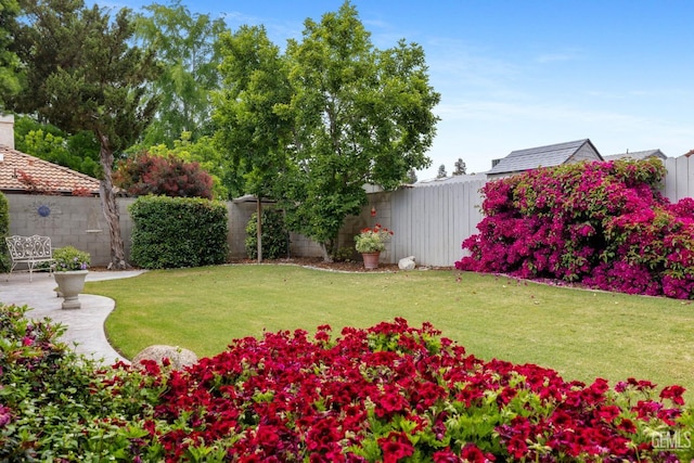 view of yard featuring a fenced backyard and a patio area