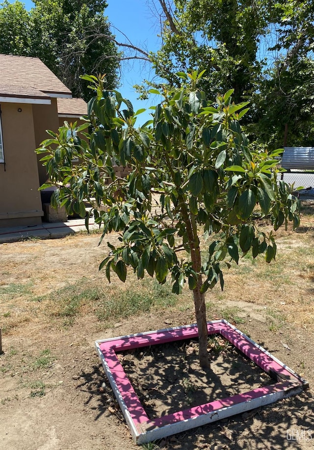 1231 6th St, Bakersfield, CA 93304 - view of yard