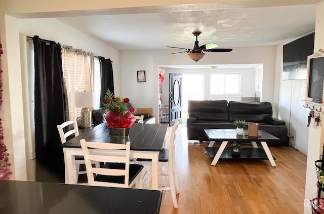 dining room with light wood-style floors and ceiling fan