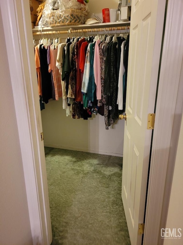 spacious closet featuring carpet floors