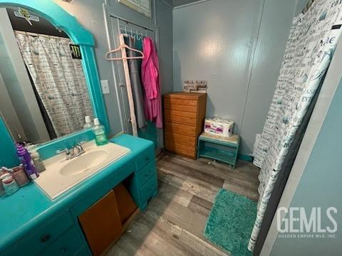 bathroom with sink and wood-type flooring