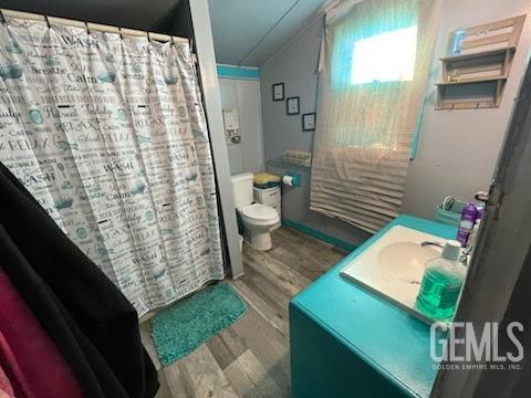 bathroom with vanity, hardwood / wood-style flooring, and toilet