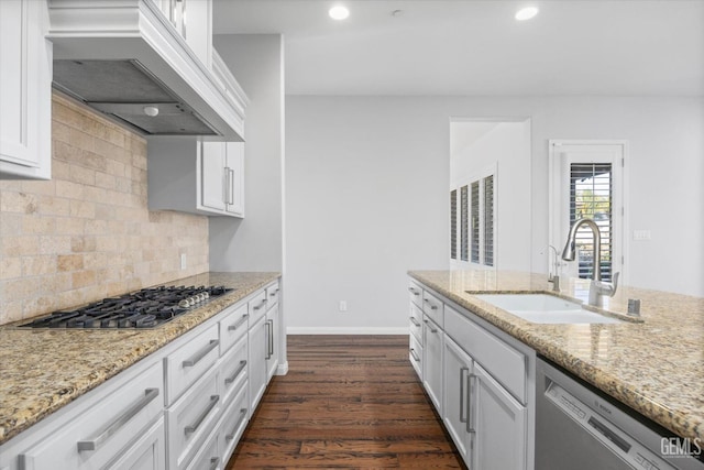 kitchen with tasteful backsplash, appliances with stainless steel finishes, dark wood-style flooring, custom exhaust hood, and a sink