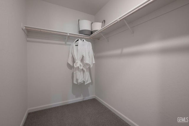 spacious closet with carpet floors