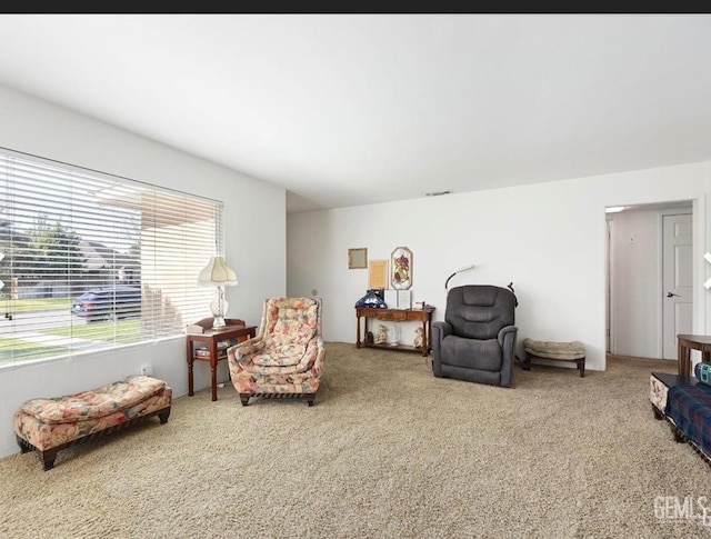 sitting room featuring carpet floors