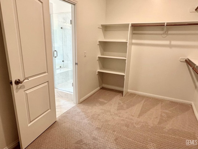 walk in closet with light carpet