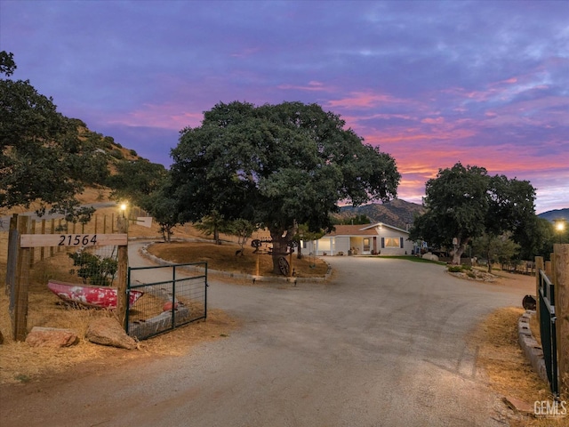 view of street featuring driveway, a gate, and a gated entry