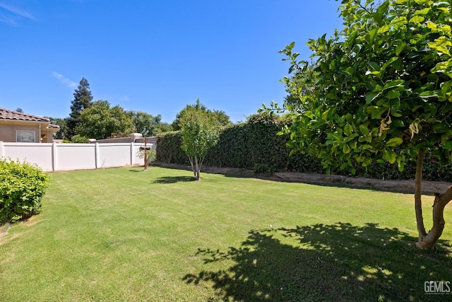 11901 Kimelford Dr, Bakersfield, CA 93312 - view of yard
