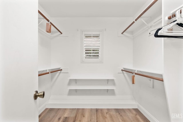 walk in closet with wood finished floors