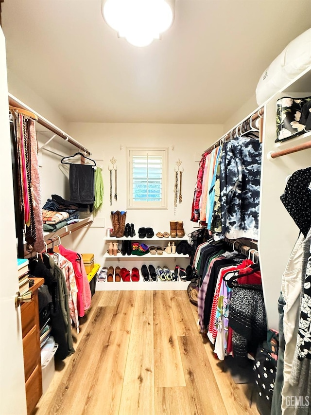 spacious closet with hardwood / wood-style floors