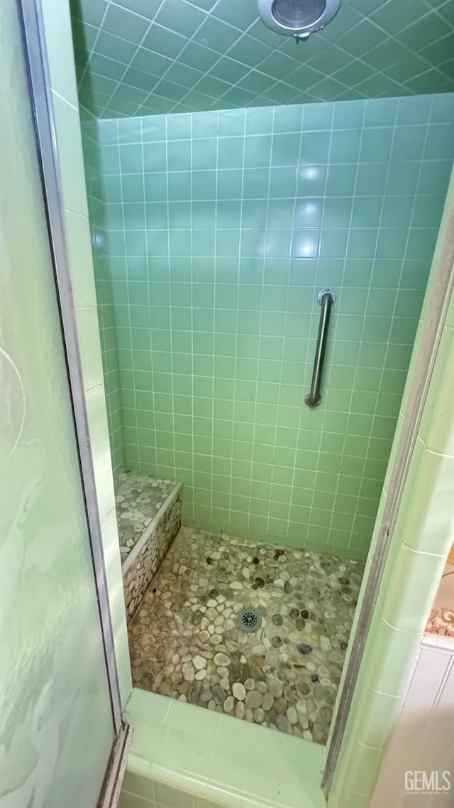 bathroom featuring a shower with door