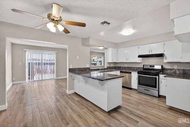1929 Belmont St, Delano, CA 93215 - kitchen featuring appliances with stainless steel finishes, under cabinet range hood, a peninsula, light wood-style flooring, and healthy amount of natural light