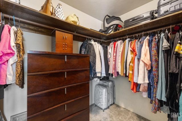 601 Vista Verde Way, Bakersfield, CA 93309 - spacious closet with carpet flooring
