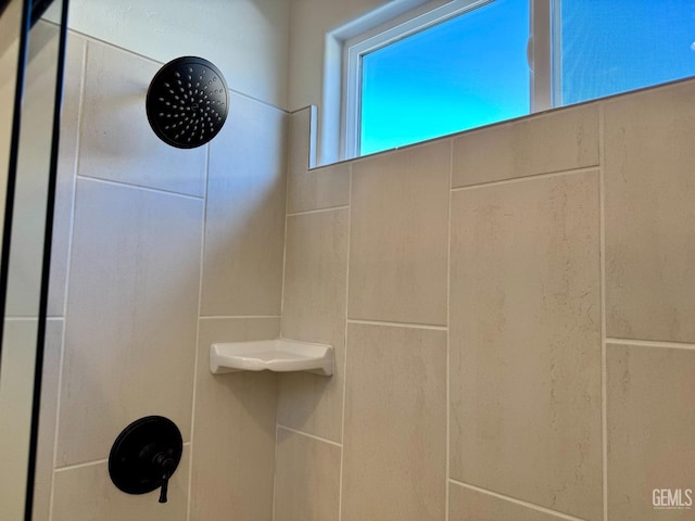 room details with a tile shower