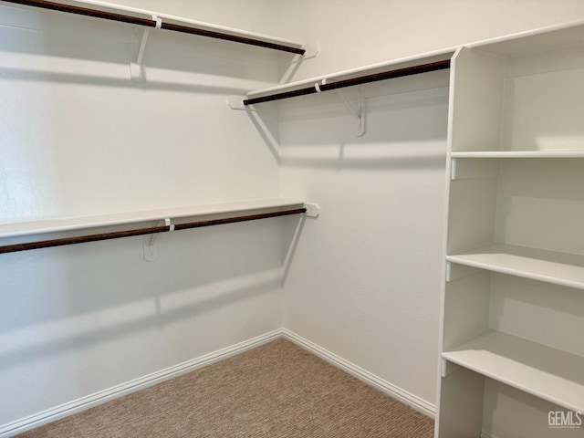 walk in closet featuring carpet