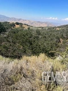 17601 Matterhorn Dr, Tehachapi, CA 93561 - photo 6