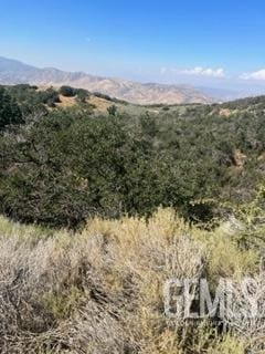 Listing photo 3 for 17601 Matterhorn Dr, Tehachapi CA 93561