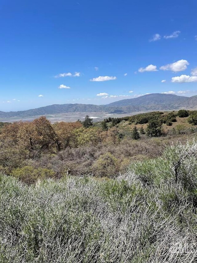 17601 Matterhorn Dr, Tehachapi, CA 93561 - photo 3