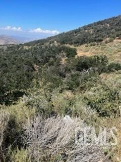 Listing photo 2 for 17601 Matterhorn Dr, Tehachapi CA 93561