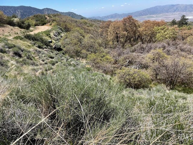 17601 Matterhorn Dr, Tehachapi, CA 93561 - photo 2