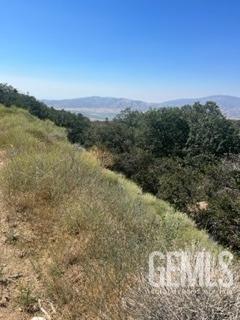 17601 Matterhorn Dr, Tehachapi, CA 93561 - photo 7