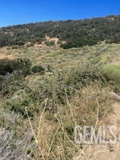 17601 Matterhorn Dr, Tehachapi, CA 93561 - photo 4