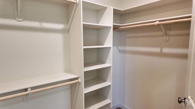 16903 Mairs Dr, Bakersfield, CA 93314 - view of walk in closet