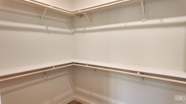 16903 Mairs Dr, Bakersfield, CA 93314 - view of spacious closet