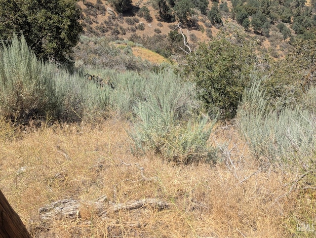 27581 Skyline, Tehachapi, CA 93561 - photo 8