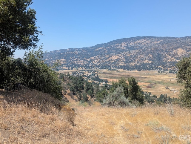 27581 Skyline, Tehachapi, CA 93561 - photo 12