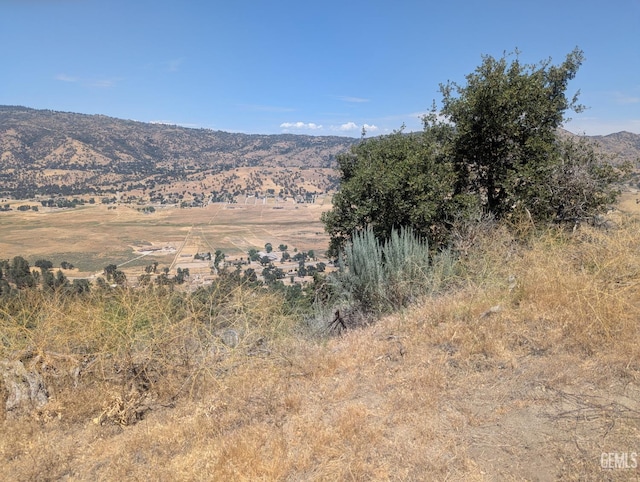 27581 Skyline, Tehachapi, CA 93561 - photo 24