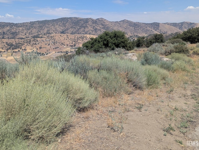 27581 Skyline, Tehachapi, CA 93561 - photo 18